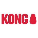 kongcompany.eu